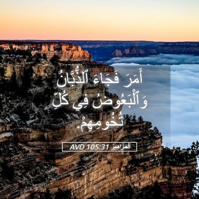 Picture 05 - اَلْمَزَامِيرُ 105:31 AVD - أَمَرَ فَجَاءَ - Bible Verse Picture