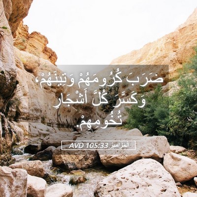 Picture 05 - اَلْمَزَامِيرُ 105:33 AVD - ضَرَبَ كُرُومَهُمْ - Bible Verse Picture