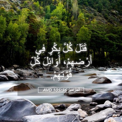 Picture 05 - اَلْمَزَامِيرُ 105:36 AVD - قَتَلَ كُلَّ بِكْرٍ فِي - Bible Verse Picture