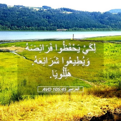 Picture 05 - اَلْمَزَامِيرُ 105:45 AVD - لِكَيْ يَحْفَظُوا - Bible Verse Picture