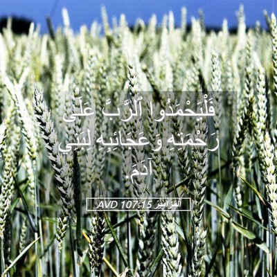 Picture 05 - اَلْمَزَامِيرُ 107:15 AVD - فَلْيَحْمَدُوا ٱلرَّبَّ - Bible Verse Picture