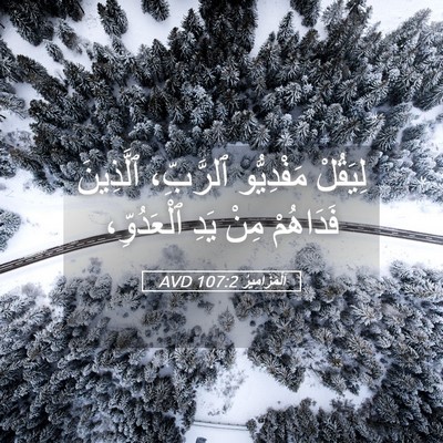 Picture 05 - اَلْمَزَامِيرُ 107:2 AVD - لِيَقُلْ مَفْدِيُّو - Bible Verse Picture