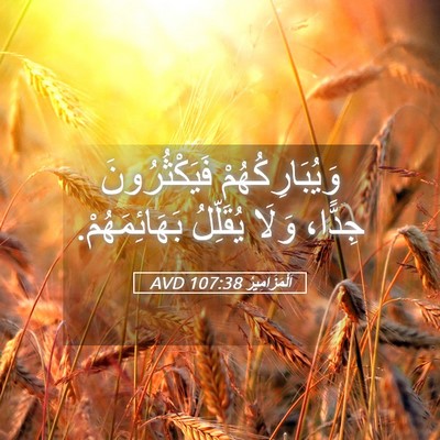 Picture 05 - اَلْمَزَامِيرُ 107:38 AVD - وَيُبَارِكُهُمْ - Bible Verse Picture