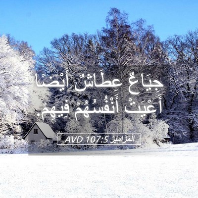 Picture 05 - اَلْمَزَامِيرُ 107:5 AVD - جِيَاعٌ عِطَاشٌ أَيْضًا - Bible Verse Picture