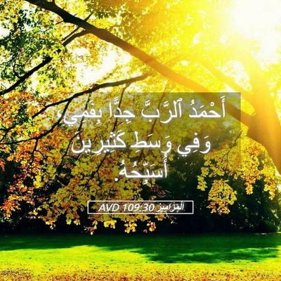 Picture 05 - اَلْمَزَامِيرُ 109:30 AVD - أَحْمَدُ ٱلرَّبَّ جِدًّا - Bible Verse Picture