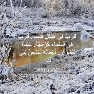 Picture 05 - اَلْمَزَامِيرُ 11:4 AVD - اَلرَّبُّ فِي هَيْكَلِ - Bible Verse Picture