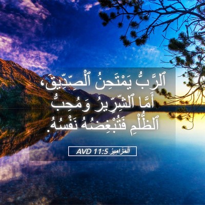 Picture 05 - اَلْمَزَامِيرُ 11:5 AVD - ٱلرَّبُّ يَمْتَحِنُ - Bible Verse Picture