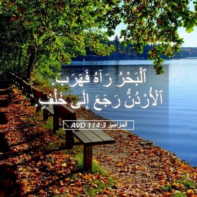 Picture 05 - اَلْمَزَامِيرُ 114:3 AVD - ٱلْبَحْرُ رَآهُ فَهَرَبَ. - Bible Verse Picture