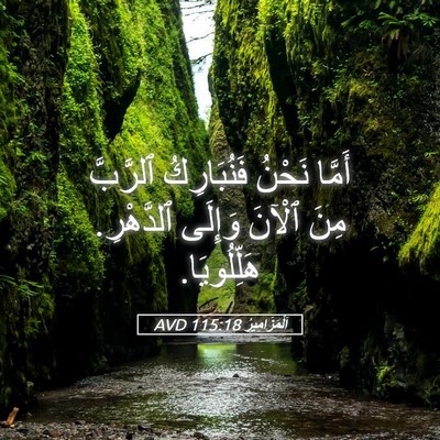 Picture 05 - اَلْمَزَامِيرُ 115:18 AVD - أَمَّا نَحْنُ فَنُبَارِكُ - Bible Verse Picture