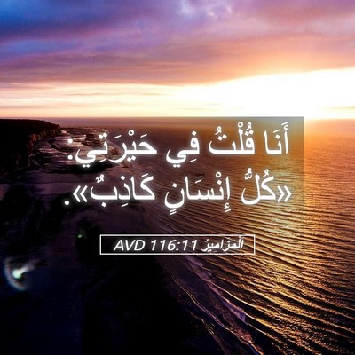 Picture 05 - اَلْمَزَامِيرُ 116:11 AVD - أَنَا قُلْتُ فِي - Bible Verse Picture