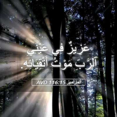 Picture 05 - اَلْمَزَامِيرُ 116:15 AVD - عَزِيزٌ فِي عَيْنَيِ - Bible Verse Picture