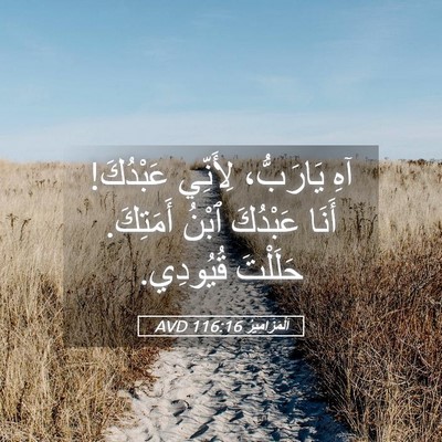 Picture 05 - اَلْمَزَامِيرُ 116:16 AVD - آهِ يَارَبُّ، لِأَنِّي - Bible Verse Picture