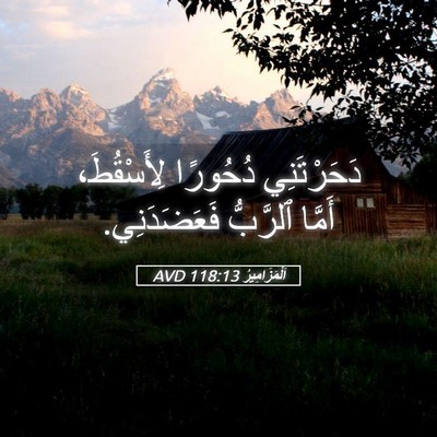 Picture 05 - اَلْمَزَامِيرُ 118:13 AVD - دَحَرْتَنِي دُحُورًا - Bible Verse Picture
