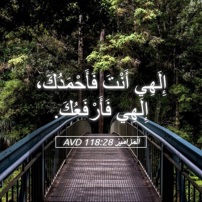 Picture 05 - اَلْمَزَامِيرُ 118:28 AVD - إِلَهِي أَنْتَ - Bible Verse Picture