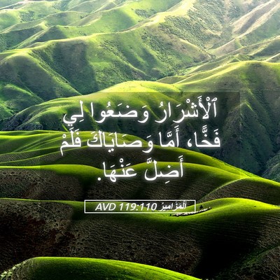 Picture 05 - اَلْمَزَامِيرُ 119:110 AVD - ٱلْأَشْرَارُ وَضَعُوا لِي - Bible Verse Picture