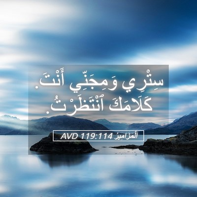Picture 05 - اَلْمَزَامِيرُ 119:114 AVD - سِتْرِي وَمِجَنِّي أَنْتَ. - Bible Verse Picture