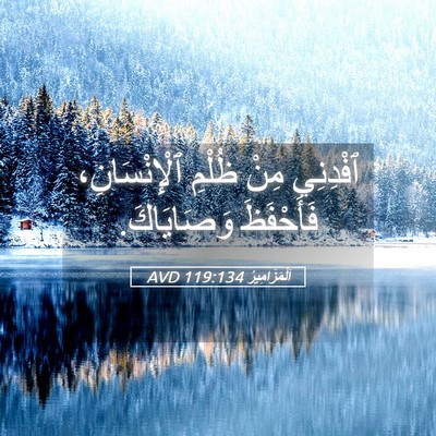 Picture 05 - اَلْمَزَامِيرُ 119:134 AVD - ٱفْدِنِي مِنْ ظُلْمِ - Bible Verse Picture