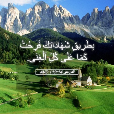 Picture 05 - اَلْمَزَامِيرُ 119:14 AVD - بِطَرِيقِ شَهَادَاتِكَ - Bible Verse Picture