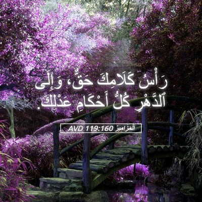 Picture 05 - اَلْمَزَامِيرُ 119:160 AVD - رَأْسُ كَلَامِكَ حَقٌّ، - Bible Verse Picture