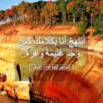 Picture 05 - اَلْمَزَامِيرُ 119:162 AVD - أَبْتَهِجُ أَنَا - Bible Verse Picture
