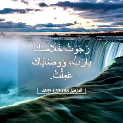 Picture 05 - اَلْمَزَامِيرُ 119:166 AVD - رَجَوْتُ خَلَاصَكَ - Bible Verse Picture