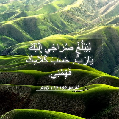 Picture 05 - اَلْمَزَامِيرُ 119:169 AVD - لِيَبْلُغْ صُرَاخِي - Bible Verse Picture