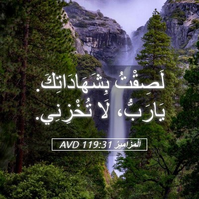 Picture 05 - اَلْمَزَامِيرُ 119:31 AVD - لَصِقْتُ بِشَهَادَاتِكَ. - Bible Verse Picture