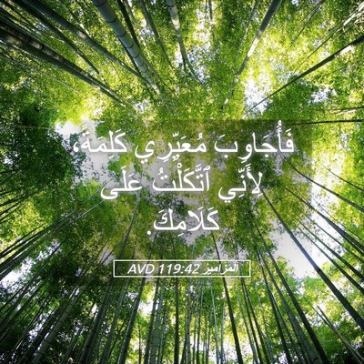Picture 05 - اَلْمَزَامِيرُ 119:42 AVD - فَأُجَاوِبَ مُعَيِّرِي - Bible Verse Picture