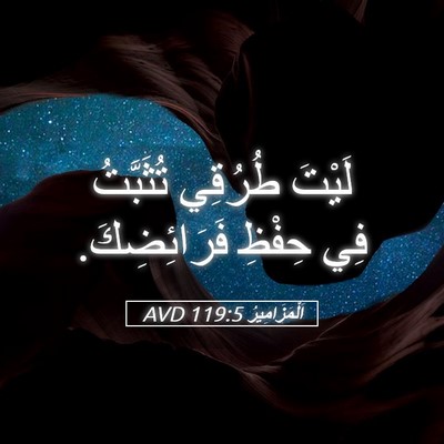 Picture 05 - اَلْمَزَامِيرُ 119:5 AVD - لَيْتَ طُرُقِي تُثَبَّتُ - Bible Verse Picture