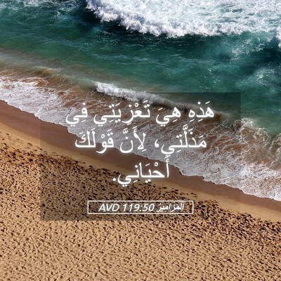 Picture 05 - اَلْمَزَامِيرُ 119:50 AVD - هَذِهِ هِيَ تَعْزِيَتِي - Bible Verse Picture