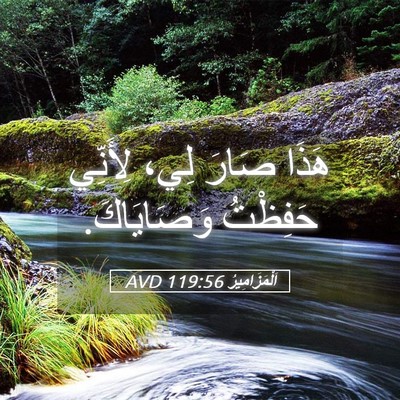 Picture 05 - اَلْمَزَامِيرُ 119:56 AVD - هَذَا صَارَ لِي، لِأَنِّي - Bible Verse Picture