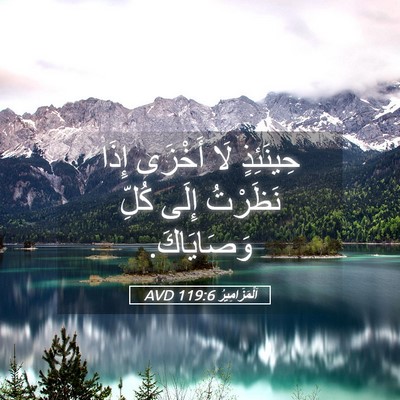 Picture 05 - اَلْمَزَامِيرُ 119:6 AVD - حِينَئِذٍ لَا أَخْزَى - Bible Verse Picture