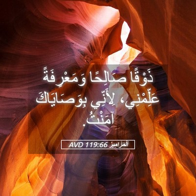 Picture 05 - اَلْمَزَامِيرُ 119:66 AVD - ذَوْقًا صَالِحًا - Bible Verse Picture