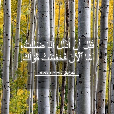 Picture 05 - اَلْمَزَامِيرُ 119:67 AVD - قَبْلَ أَنْ أُذَلَّلَ - Bible Verse Picture