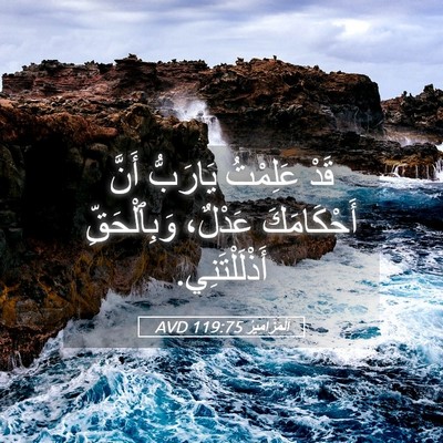 Picture 05 - اَلْمَزَامِيرُ 119:75 AVD - قَدْ عَلِمْتُ يَارَبُّ - Bible Verse Picture