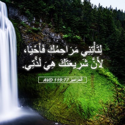 Picture 05 - اَلْمَزَامِيرُ 119:77 AVD - لِتَأْتِنِي مَرَاحِمُكَ - Bible Verse Picture