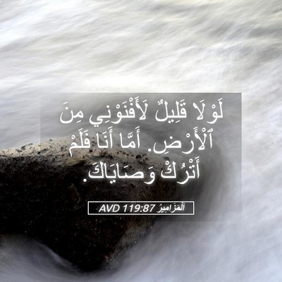 Picture 05 - اَلْمَزَامِيرُ 119:87 AVD - لَوْلَا قَلِيلٌ - Bible Verse Picture