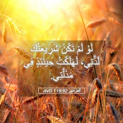 Picture 05 - اَلْمَزَامِيرُ 119:92 AVD - لَوْ لَمْ تَكُنْ - Bible Verse Picture