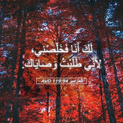 Picture 05 - اَلْمَزَامِيرُ 119:94 AVD - لَكَ أَنَا فَخَلِّصْنِي، - Bible Verse Picture