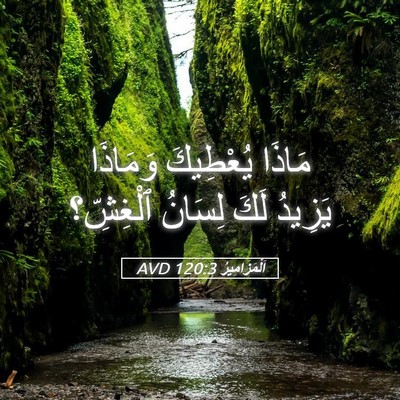 Picture 05 - اَلْمَزَامِيرُ 120:3 AVD - مَاذَا يُعْطِيكَ وَمَاذَا - Bible Verse Picture