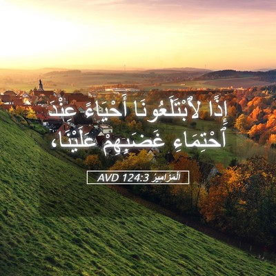 Picture 05 - اَلْمَزَامِيرُ 124:3 AVD - إِذًا لَٱبْتَلَعُونَا - Bible Verse Picture