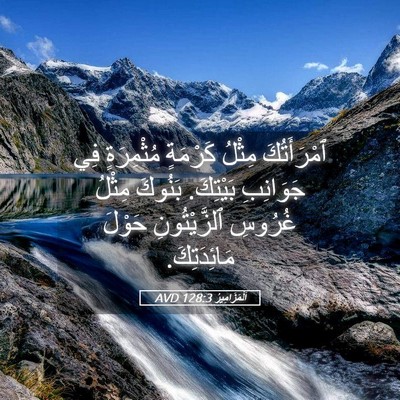 Picture 05 - اَلْمَزَامِيرُ 128:3 AVD - ٱمْرَأَتُكَ مِثْلُ - Bible Verse Picture