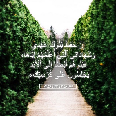 Picture 05 - اَلْمَزَامِيرُ 132:12 AVD - إِنْ حَفِظَ بَنُوكَ - Bible Verse Picture