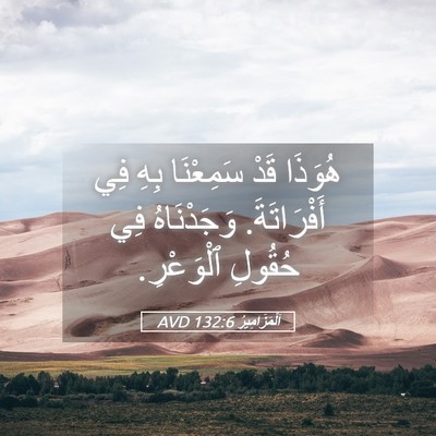 Picture 05 - اَلْمَزَامِيرُ 132:6 AVD - هُوَذَا قَدْ سَمِعْنَا - Bible Verse Picture