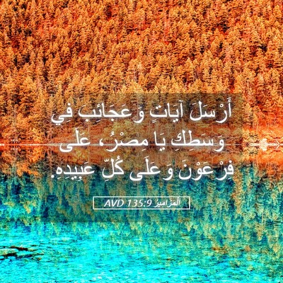 Picture 05 - اَلْمَزَامِيرُ 135:9 AVD - أَرْسَلَ آيَاتٍ - Bible Verse Picture