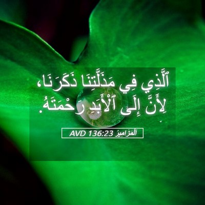 Picture 05 - اَلْمَزَامِيرُ 136:23 AVD - ٱلَّذِي فِي مَذَلَّتِنَا - Bible Verse Picture