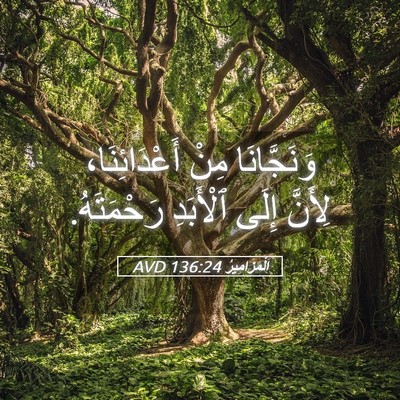 Picture 05 - اَلْمَزَامِيرُ 136:24 AVD - وَنَجَّانَا مِنْ - Bible Verse Picture