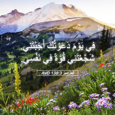Picture 05 - اَلْمَزَامِيرُ 138:3 AVD - فِي يَوْمَ دَعَوْتُكَ - Bible Verse Picture