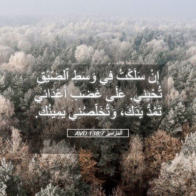 Picture 05 - اَلْمَزَامِيرُ 138:7 AVD - إِنْ سَلَكْتُ فِي وَسَطِ - Bible Verse Picture