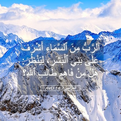 Picture 05 - اَلْمَزَامِيرُ 14:2 AVD - اَلرَّبُّ مِنَ ٱلسَّمَاءِ - Bible Verse Picture